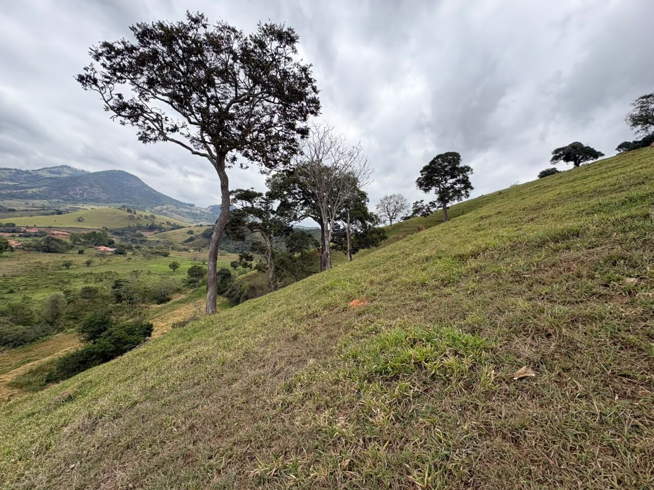 Área rural para venda em Dom Viçoso MG