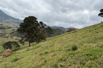 Área rural para venda em Dom Viçoso MG