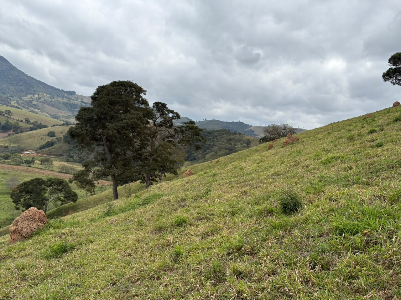 Área rural para venda em Dom Viçoso MG