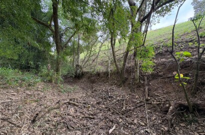 Área rural para venda em Dom Viçoso MG
