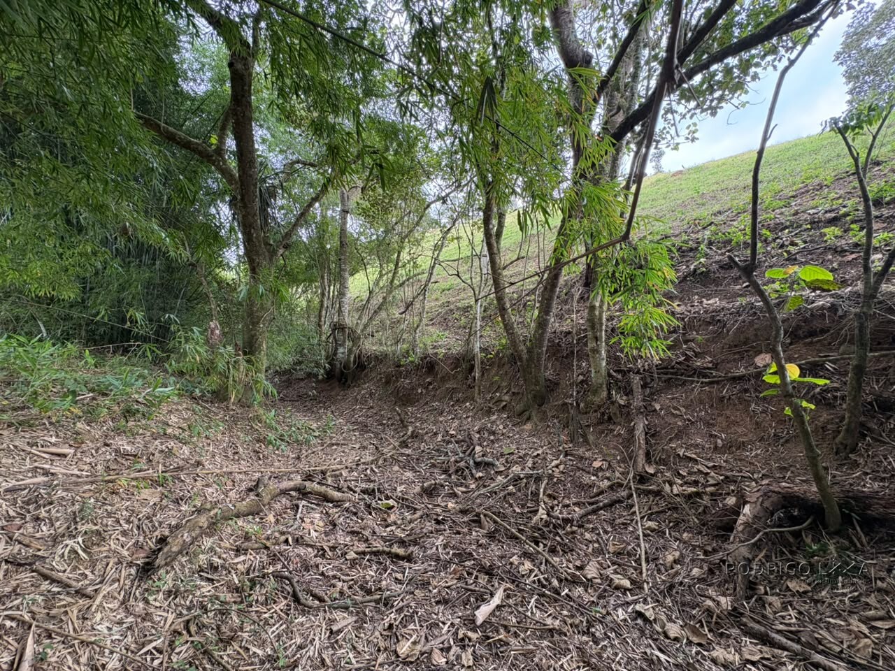 Área rural para venda em Dom Viçoso MG