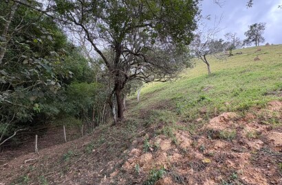 Área rural para venda em Dom Viçoso MG