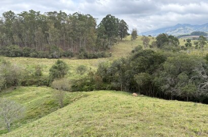 Área rural para venda em Dom Viçoso MG