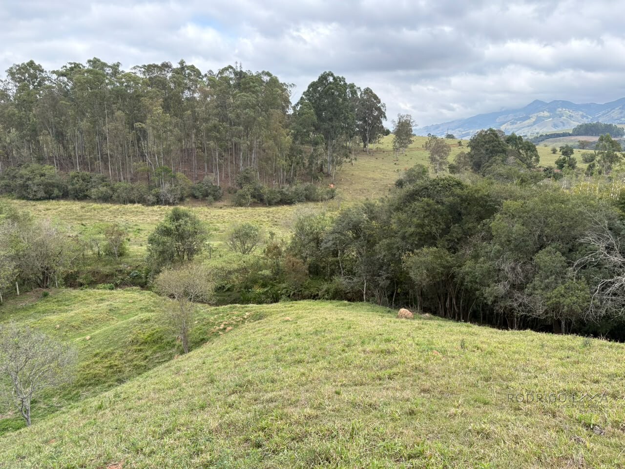 Área rural para venda em Dom Viçoso MG