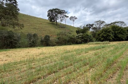 Área rural para venda em Dom Viçoso MG
