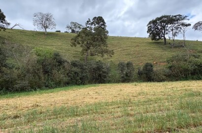 Área rural para venda em Dom Viçoso MG