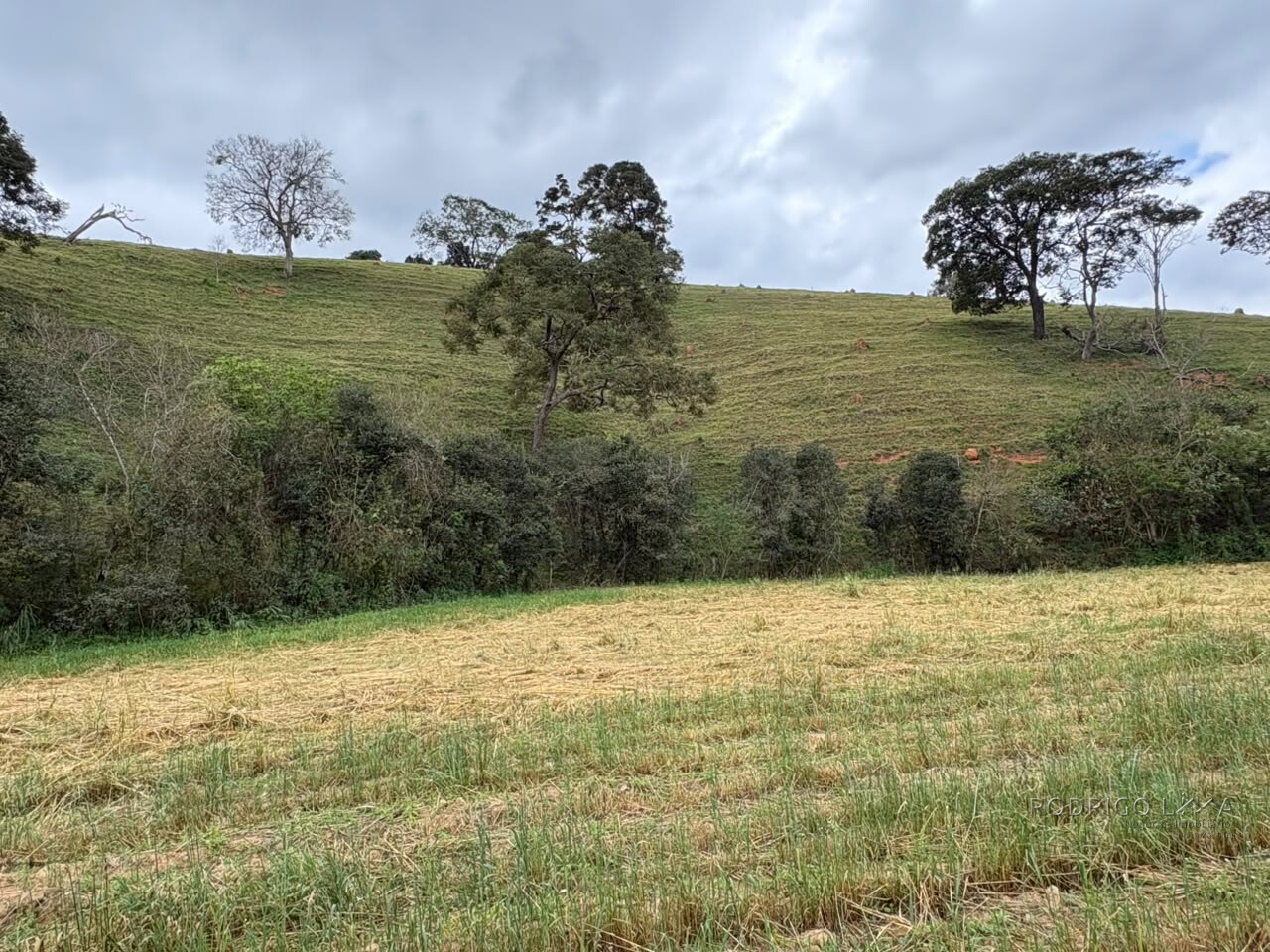 Área rural para venda em Dom Viçoso MG
