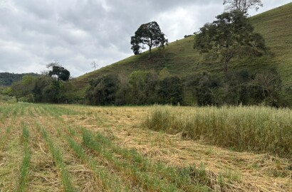 Área rural para venda em Dom Viçoso MG