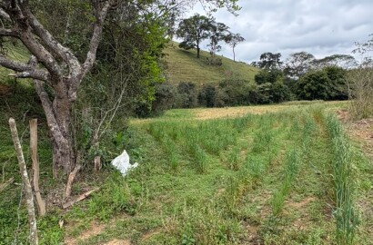 Área rural para venda em Dom Viçoso MG