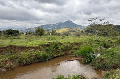 Área rural para venda em Dom Viçoso MG