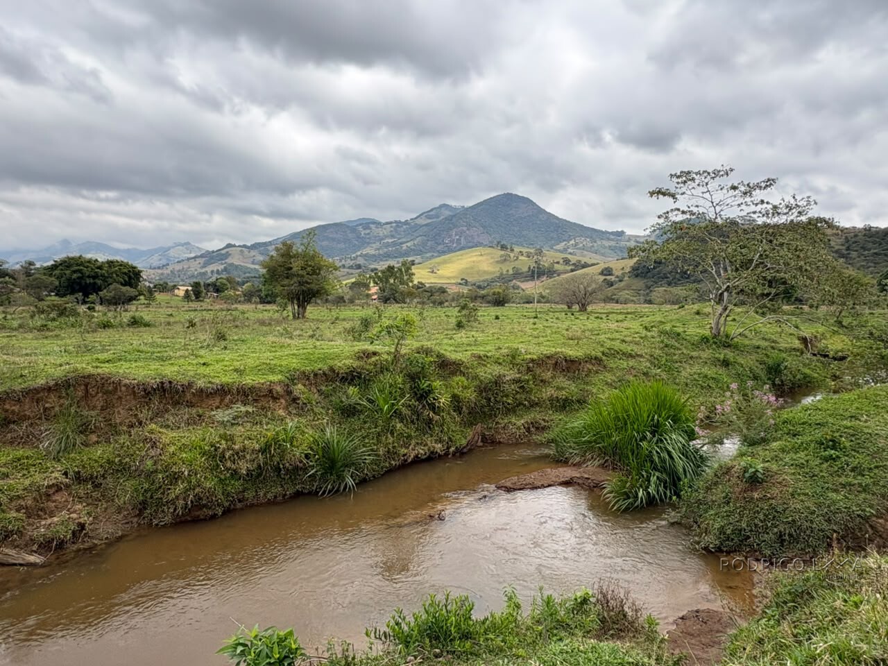 Área rural para venda em Dom Viçoso MG