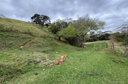 Área rural para venda em Dom Viçoso MG