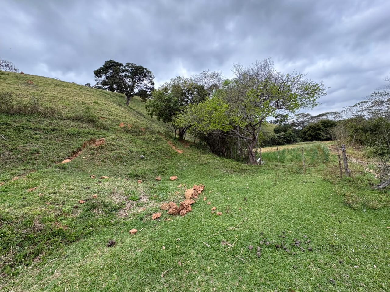 Área rural para venda em Dom Viçoso MG