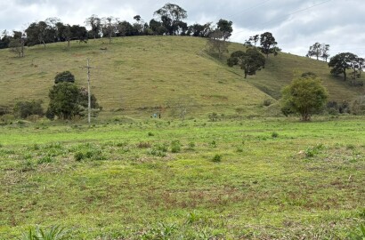 Área rural para venda em Dom Viçoso MG