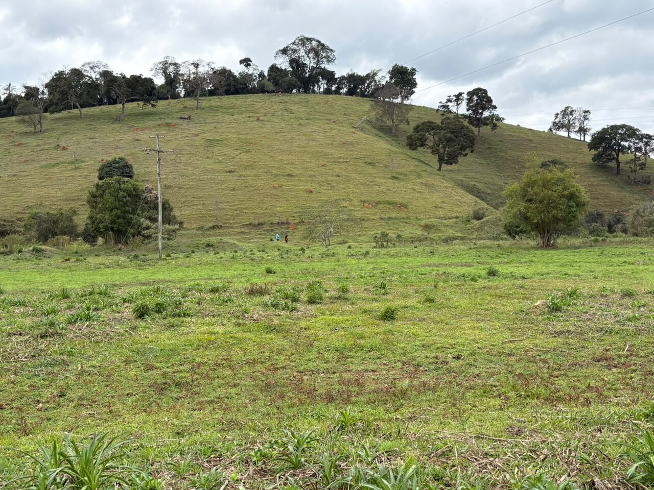 Área rural para venda em Dom Viçoso MG