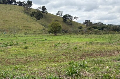 Área rural para venda em Dom Viçoso MG