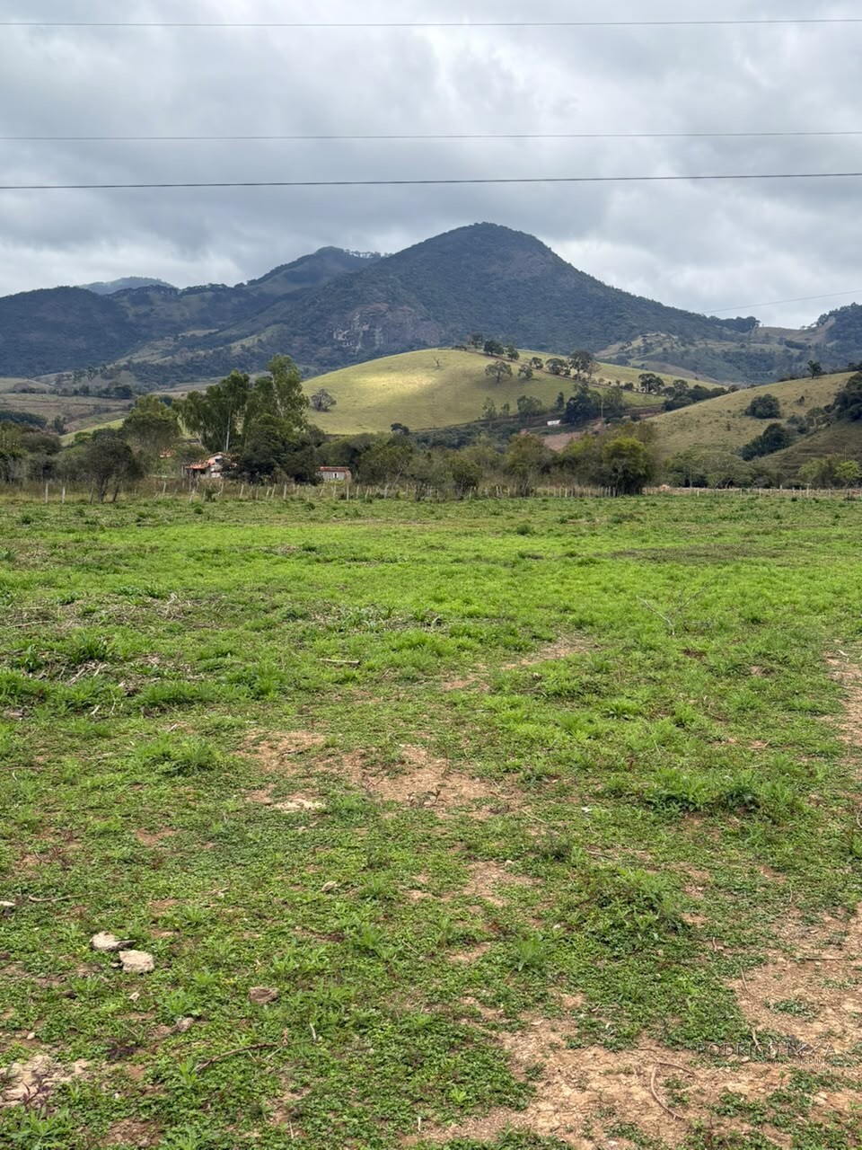 Área rural para venda em Dom Viçoso MG