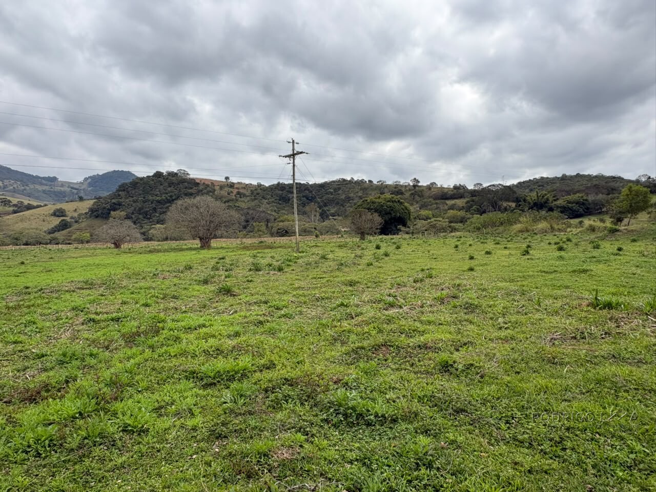 Área rural para venda em Dom Viçoso MG