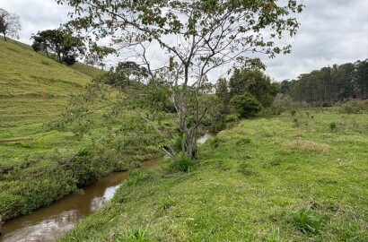 Área rural para venda em Dom Viçoso MG