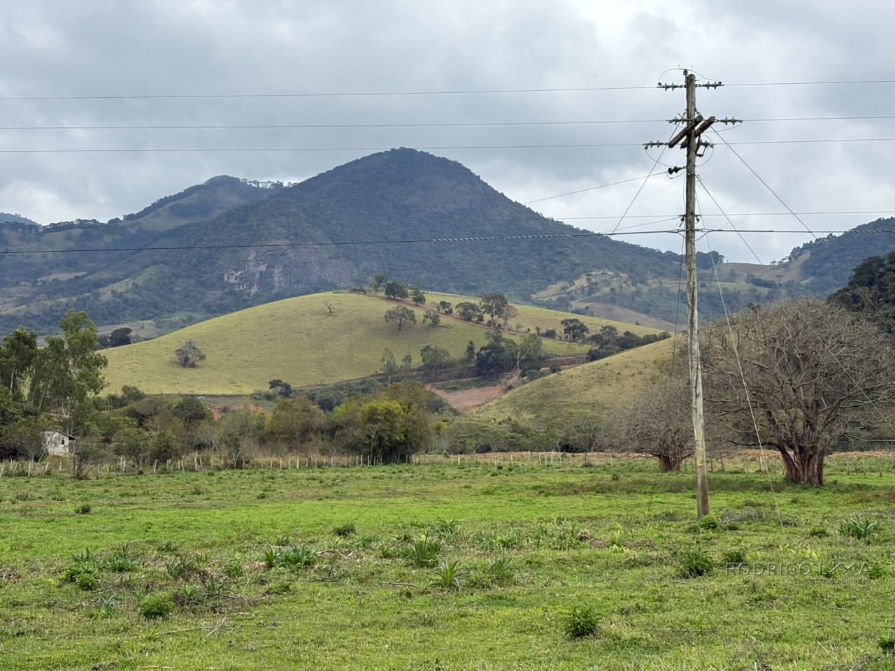 Área rural para venda em Dom Viçoso MG