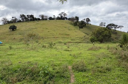 Área rural para venda em Dom Viçoso MG