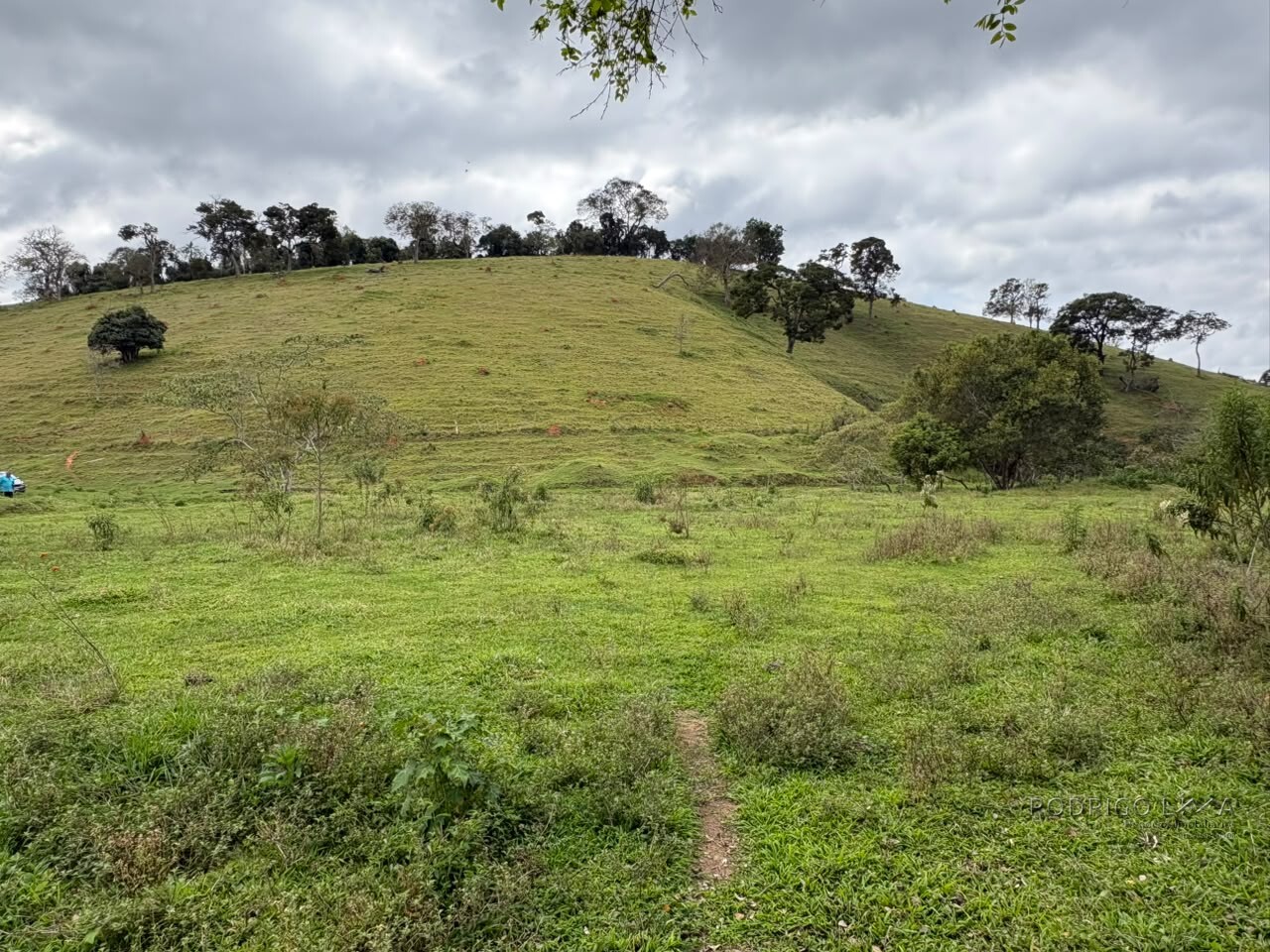 Área rural para venda em Dom Viçoso MG