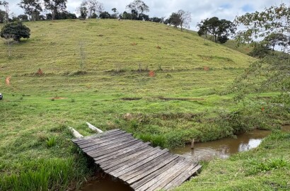 Área rural para venda em Dom Viçoso MG