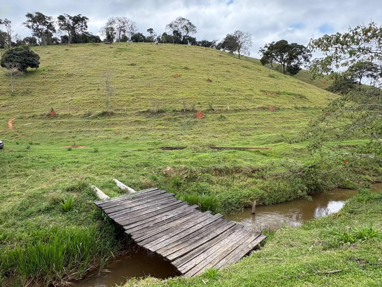 Área rural para venda em Dom Viçoso MG