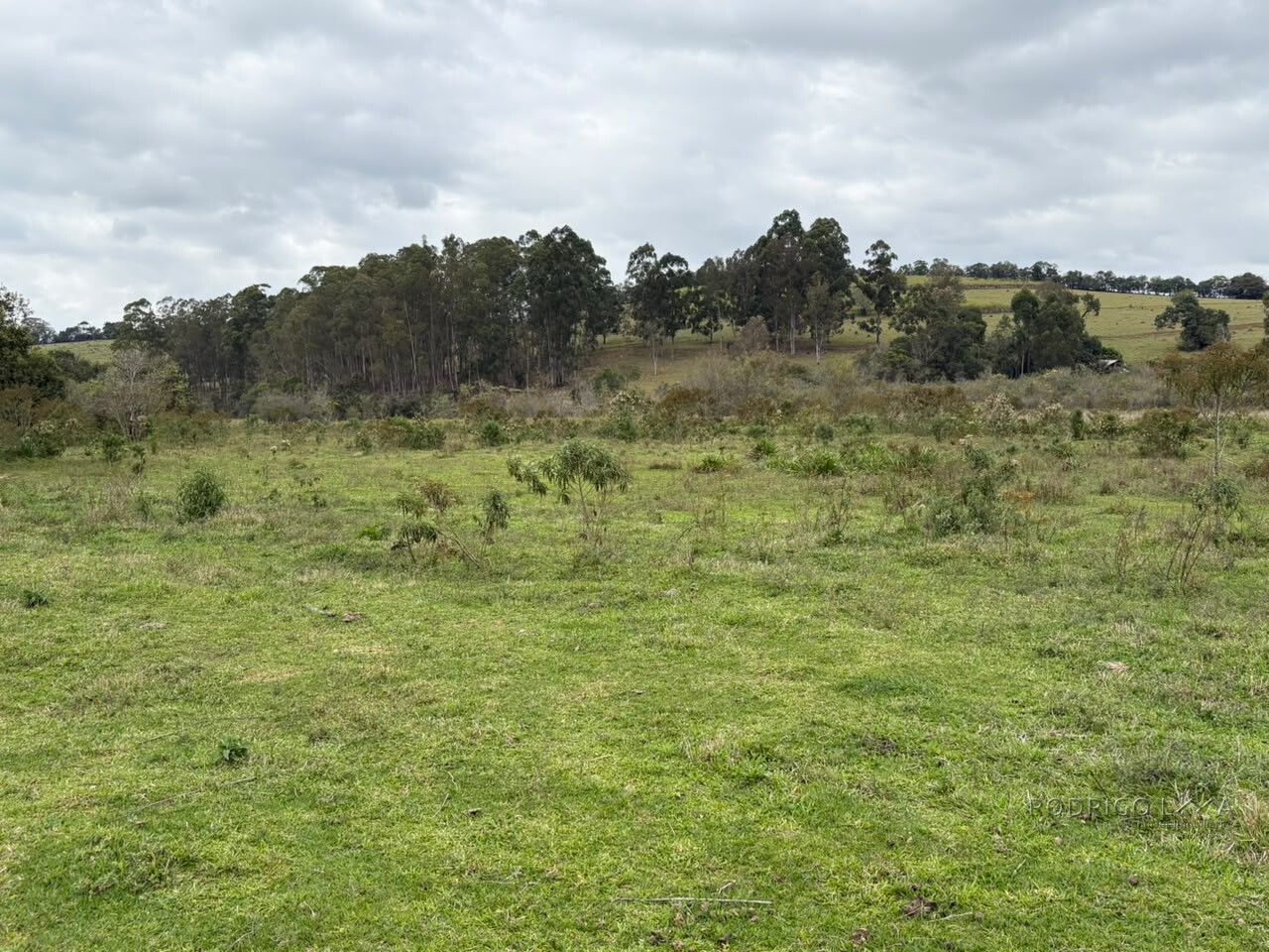 Área rural para venda em Dom Viçoso MG
