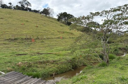 Área rural para venda em Dom Viçoso MG