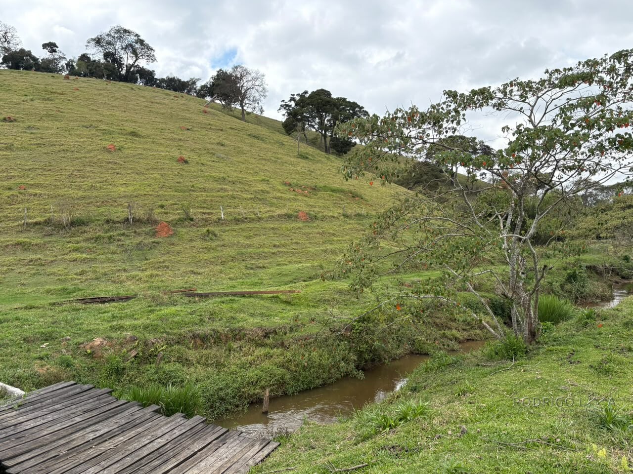 Área rural para venda em Dom Viçoso MG