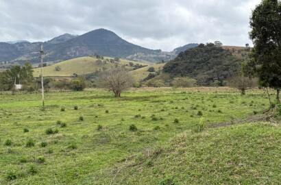 Área rural para venda em Dom Viçoso MG
