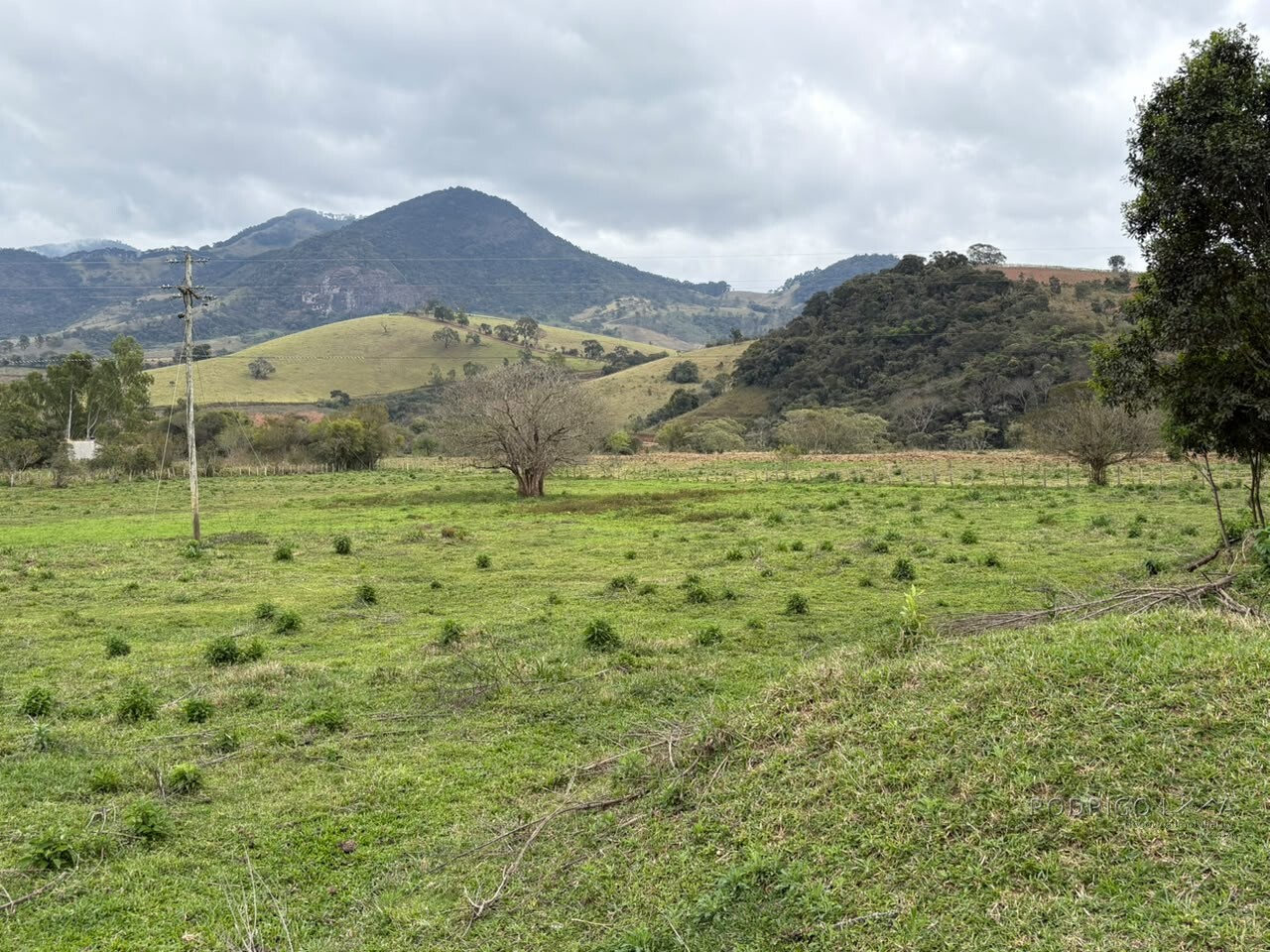 Área rural para venda em Dom Viçoso MG
