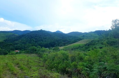 Fazenda para venda em Carvalhos MG