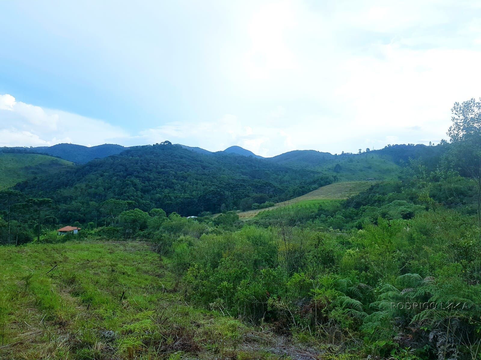 Fazenda para venda em Carvalhos MG