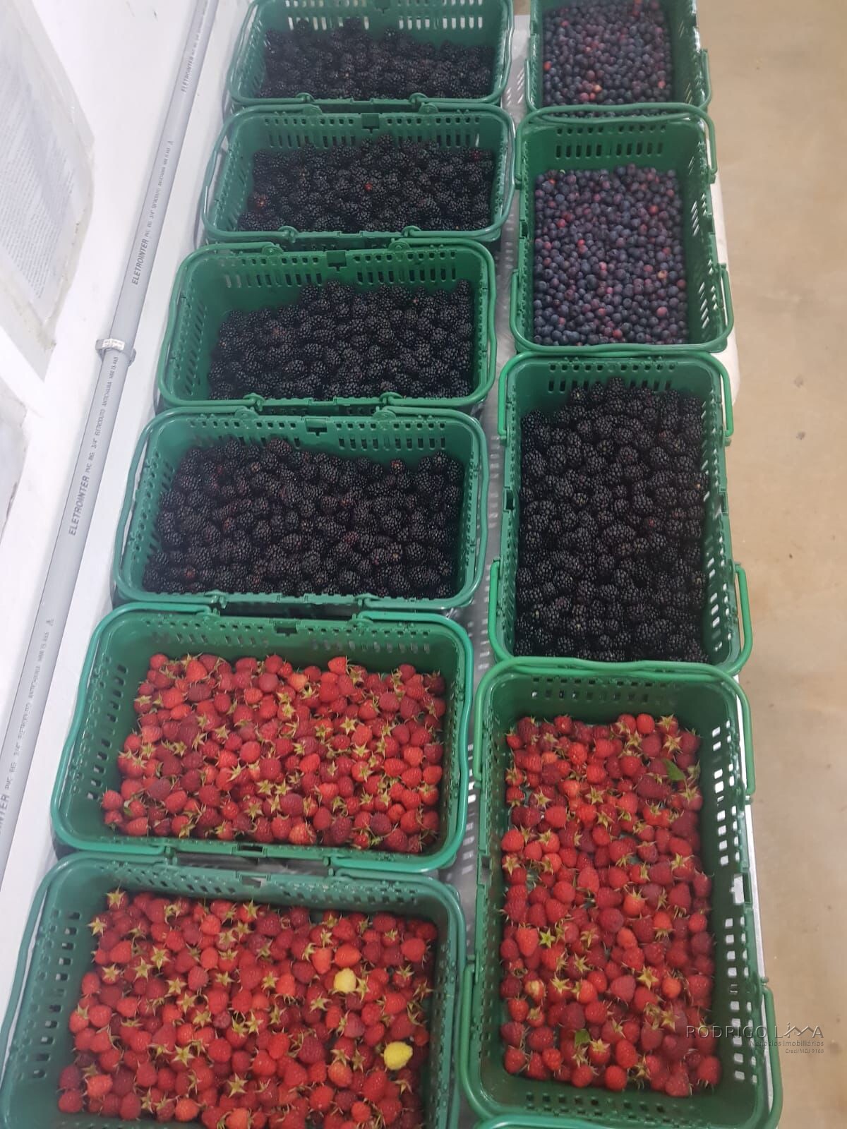 Fazenda para venda em Carvalhos MG