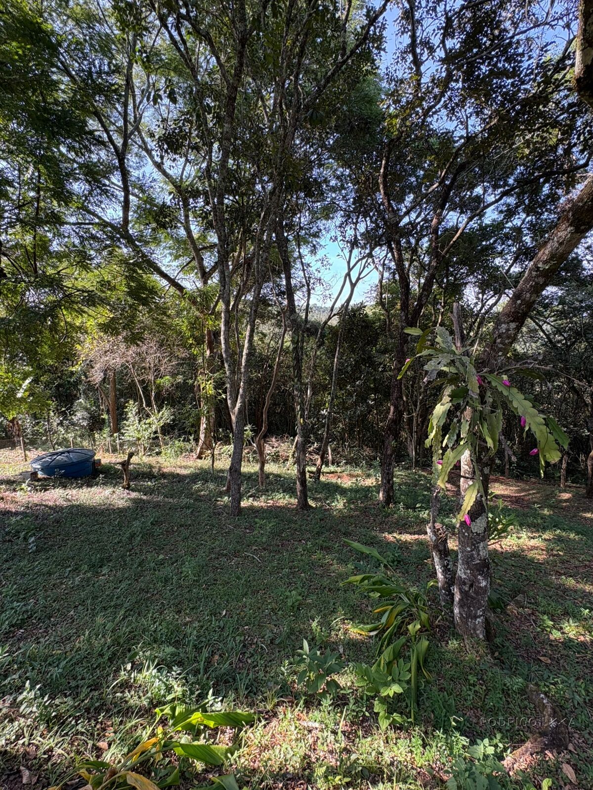 Lindo chalé para venda próximo a São Lourenço MG