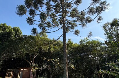 Lindo chalé para venda próximo a São Lourenço MG