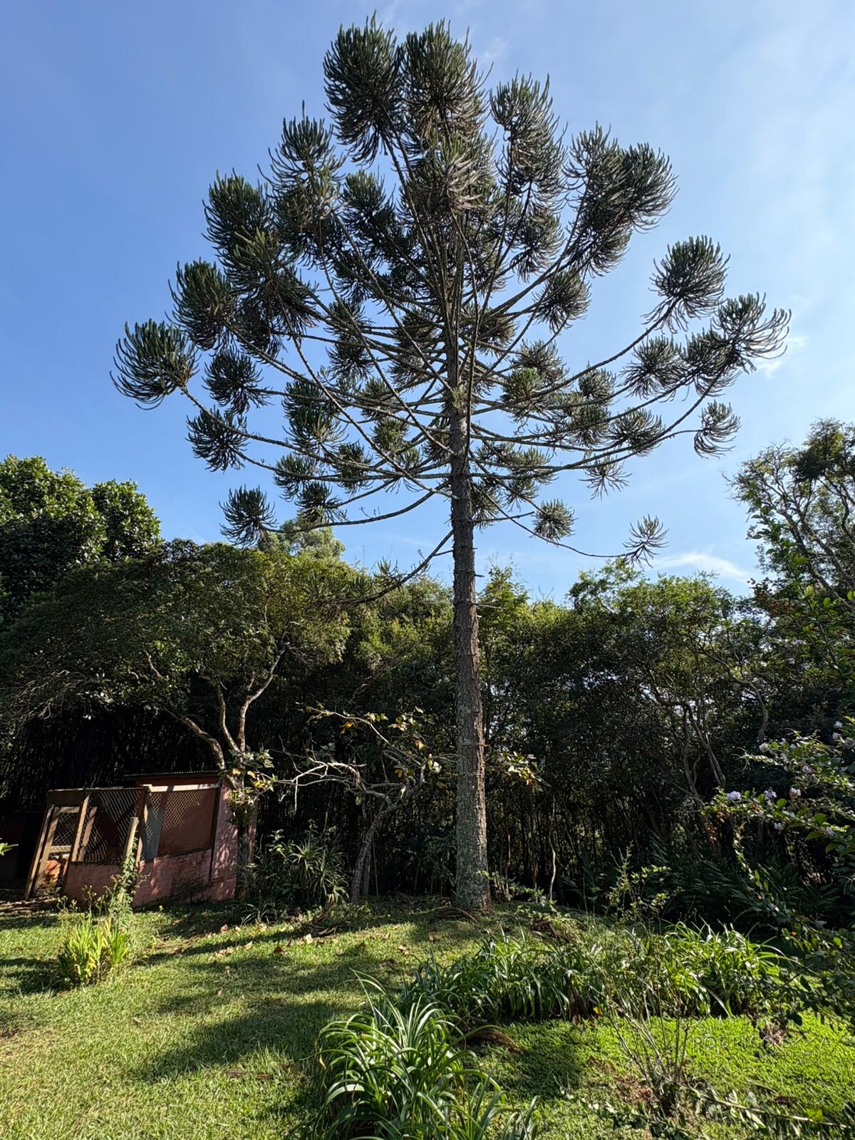 Lindo chalé para venda próximo a São Lourenço MG