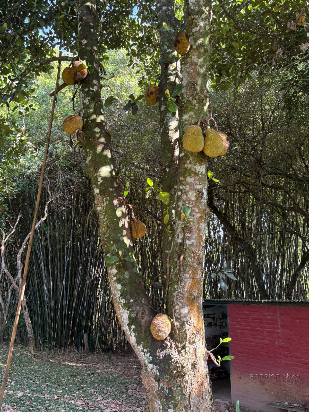 Lindo chalé para venda próximo a São Lourenço MG