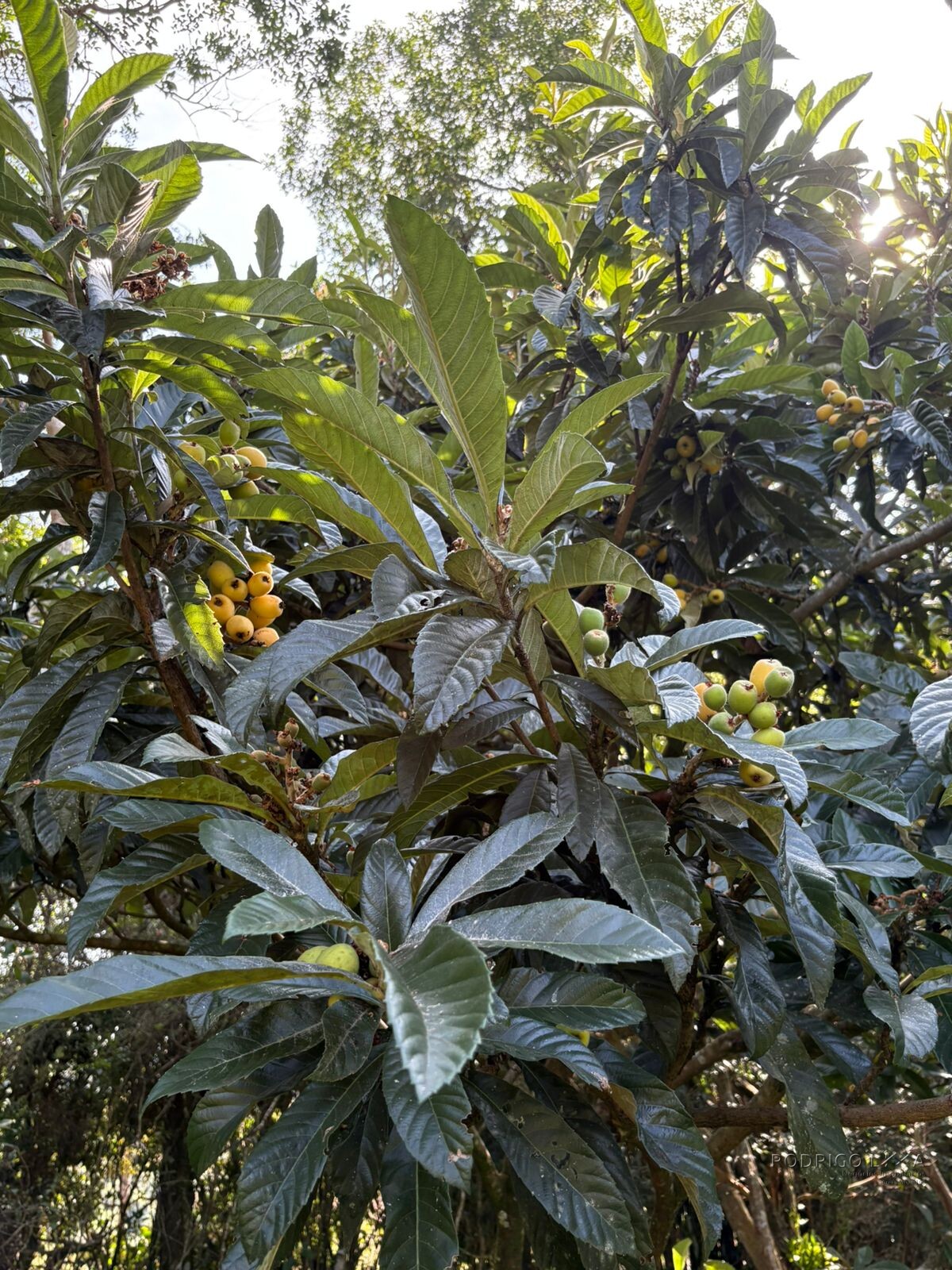 Lindo chalé para venda próximo a São Lourenço MG