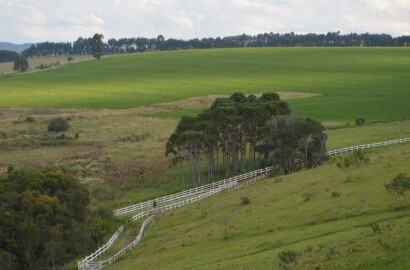 Fazenda para venda em Caldas MG