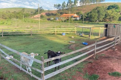 Lindo Sitio para venda próximo a São Lourenço - MG