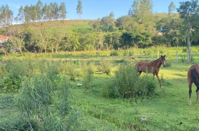 Lindo Sitio para venda próximo a São Lourenço - MG