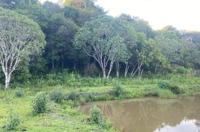 Lindo Sitio para venda próximo a São Lourenço - MG