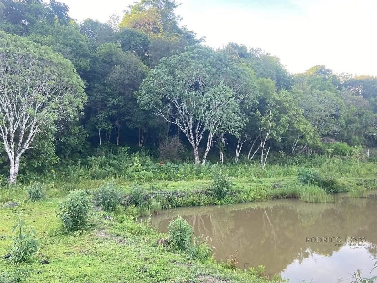 Lindo Sitio para venda próximo a São Lourenço - MG
