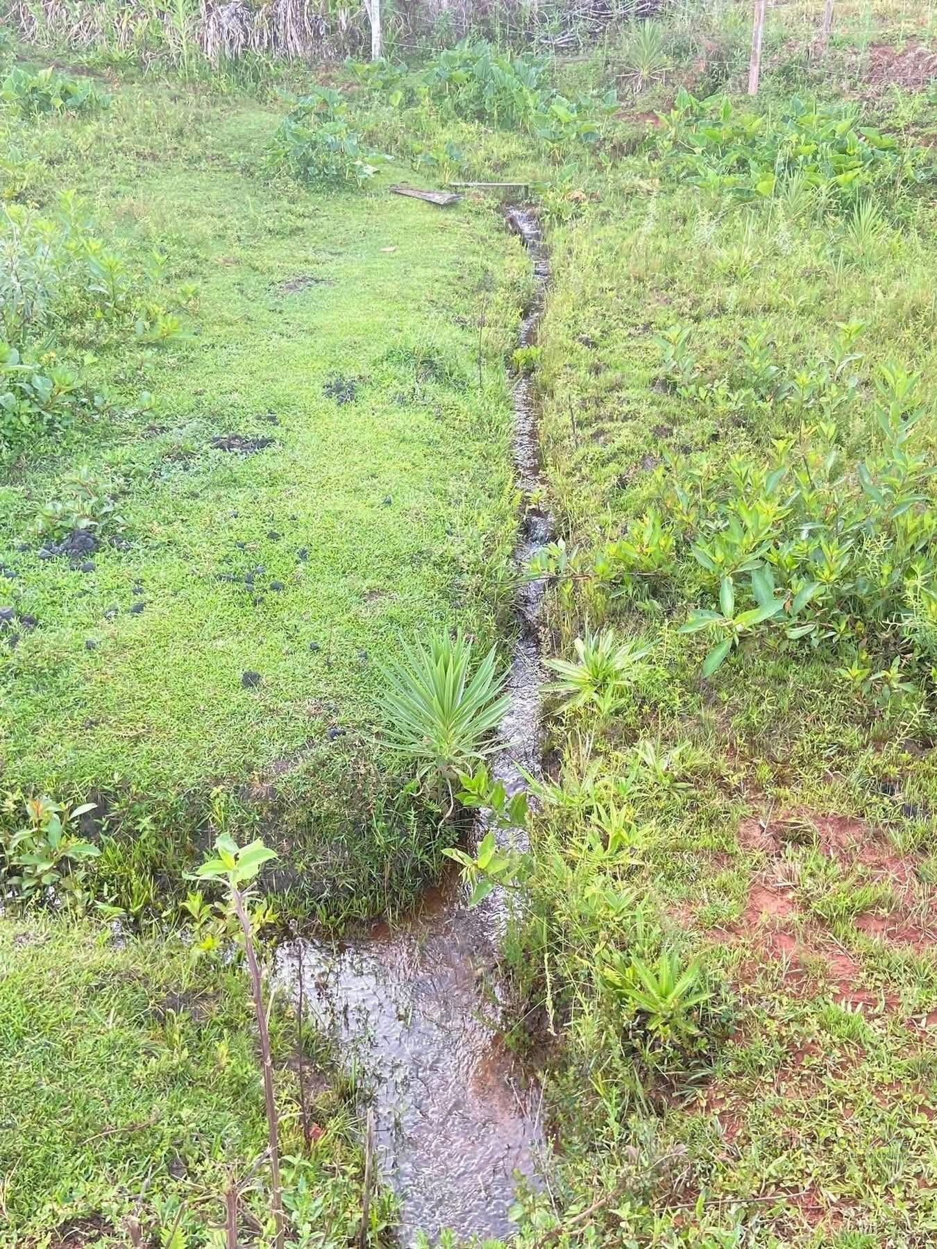 Lindo Sitio para venda próximo a São Lourenço - MG