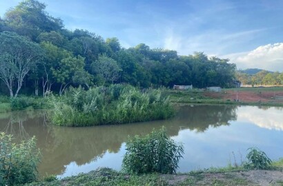 Lindo Sitio para venda próximo a São Lourenço - MG
