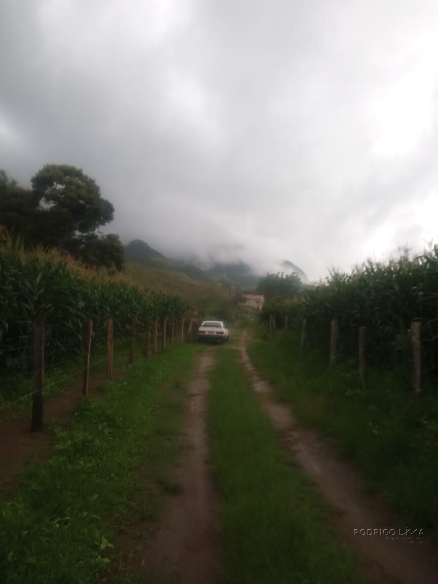 Chácara para venda em Dom Viçoso MG