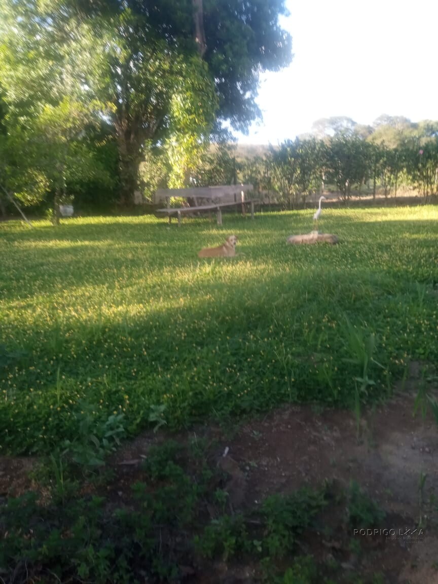 Chácara para venda em Dom Viçoso MG